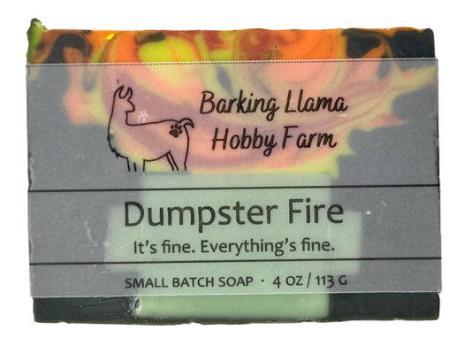 DUMPSTER FIRE