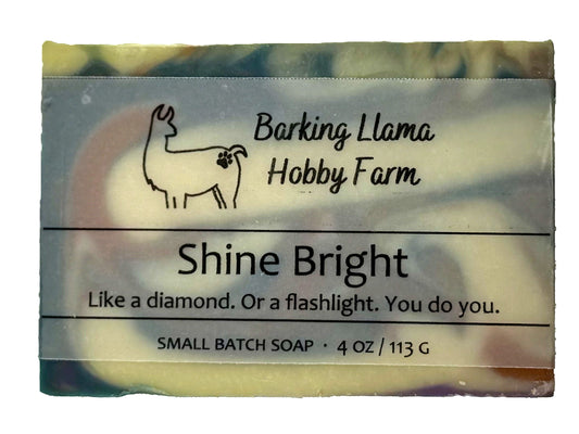 SHINE BRIGHT