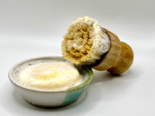 DISH BRUSH