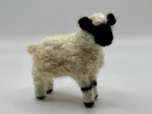 MEDIUM WOOL VALAIS BLACKNOSE SHEEP